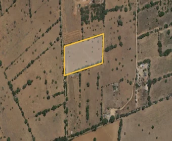 Verkauf landet Campos