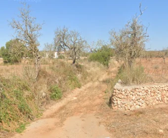 Verkauf landet Campos