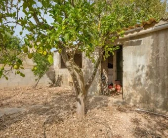 Venta Solares urbanos Son Carrio