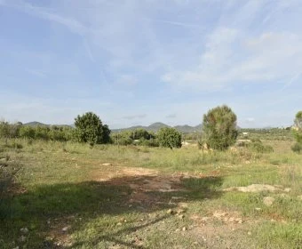 Venta Terrenos Porto Cristo