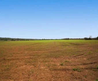 Verkauf landet Campos