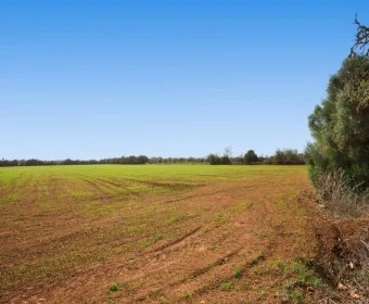 Verkauf landet Campos