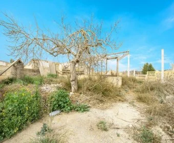 Verkauf landet Vilafranca de Bonany
