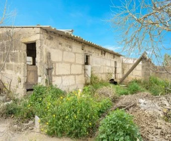 Verkauf landet Vilafranca de Bonany