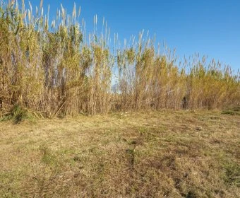 Venta Terrenos Artá