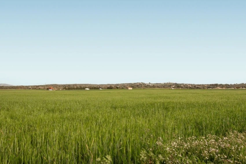 Venta Terrenos María de la salut