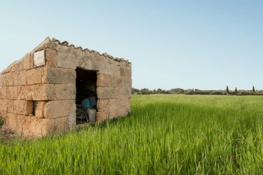 Venta Terrenos María de la salut