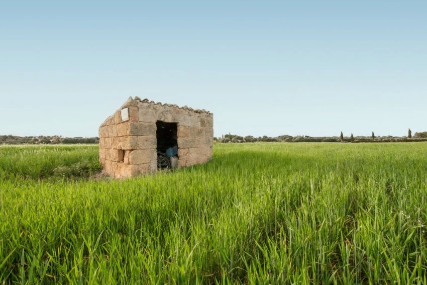 Venta Terrenos María de la salut