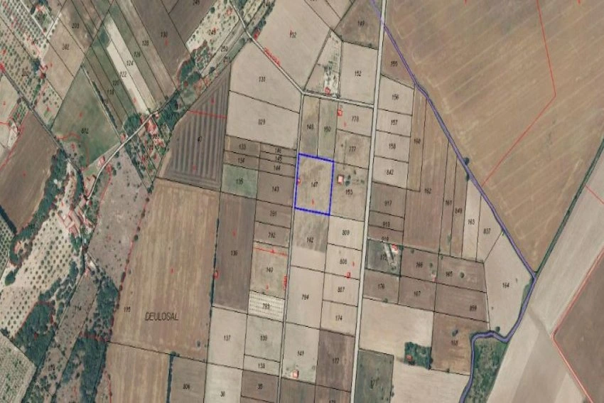 Venta Terrenos María de la salut