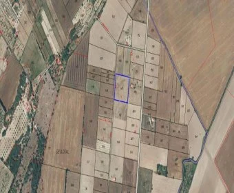 Venta Terrenos María de la salut