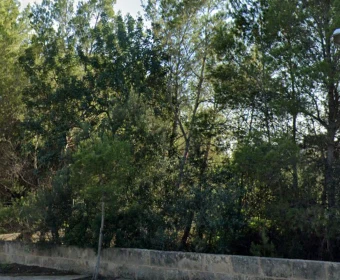 Venta Solares urbanos Cala Millor