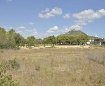 Venta Solares urbanos Cala Millor