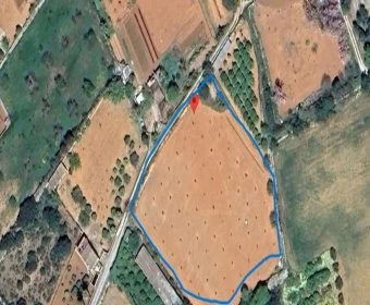 Venta Terrenos Manacor