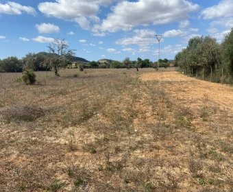 Venta Terrenos Felanitx