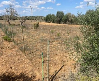 Venta Terrenos Felanitx