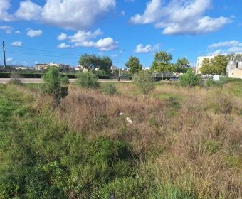 Venta Solares urbanos Manacor