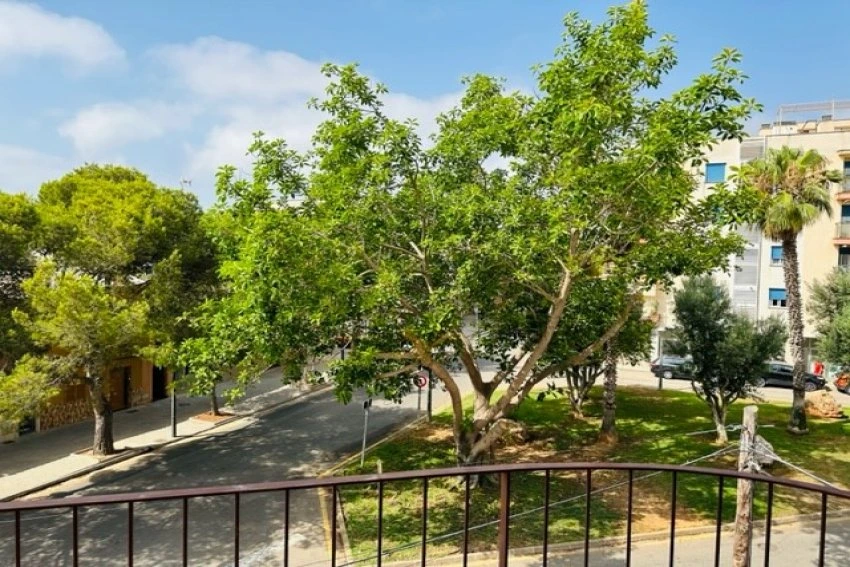 Venta Pisos Porto Cristo