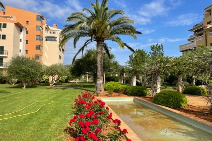 Venta Pisos Cala Millor