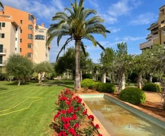 Venta Pisos Cala Millor