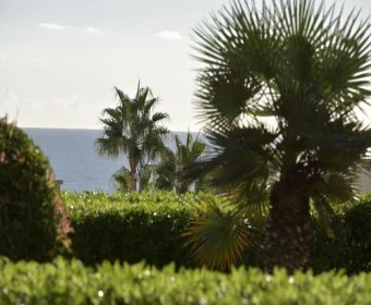 Sale Apartments Cala Magrana