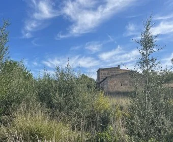 Sale Rustic houses Manacor
