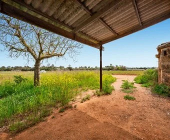 Sale Rustic houses Llubí