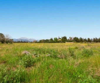 Sale Rustic houses Llubí