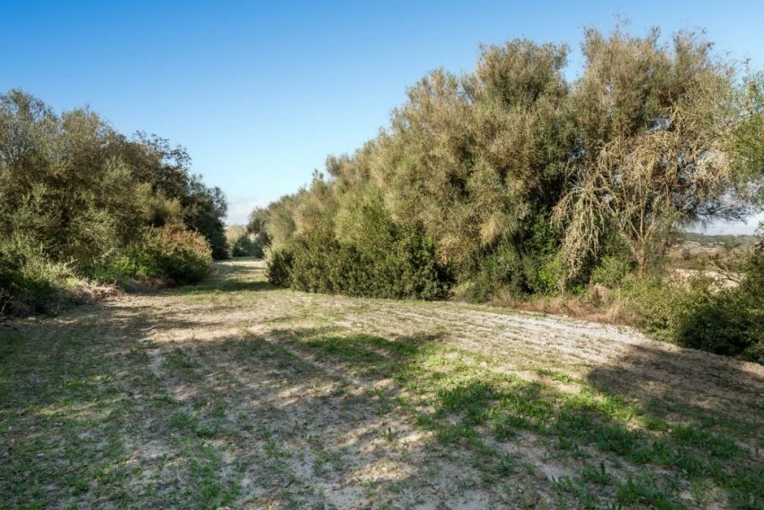 Venta Casas Rústicas Sant Joan