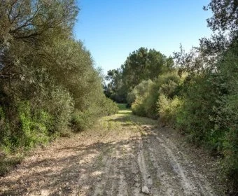 Sale Rustic houses Sant Joan