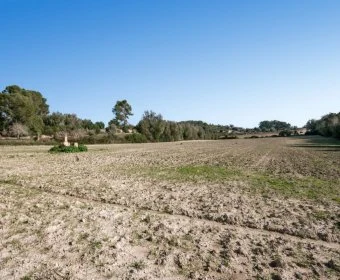 Venta Casas Rústicas Sant Joan