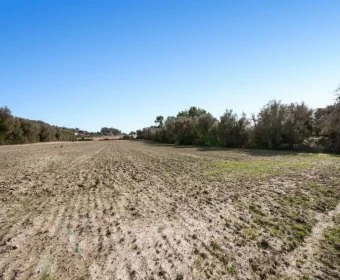 Venta Casas Rústicas Sant Joan