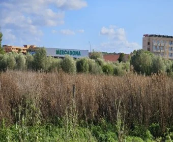 Venta Terrenos Sant Llorenç des Cardassar