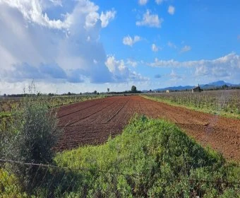 Venta Terrenos Felanitx