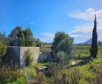 Venta Terrenos Felanitx