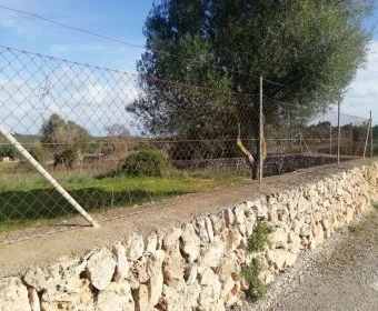 Kara satılık içinde Sillot Mallorca