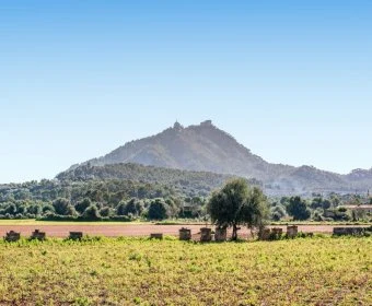 Sale Rustic houses Felanitx