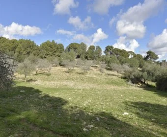 Sale Rustic houses Manacor