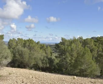 Sale Rustic houses Manacor