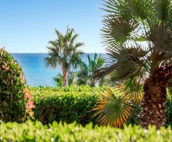 Sale Apartments Cala Magrana