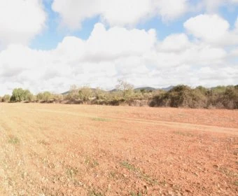 Verkauf Rustikale Häuser Santanyí