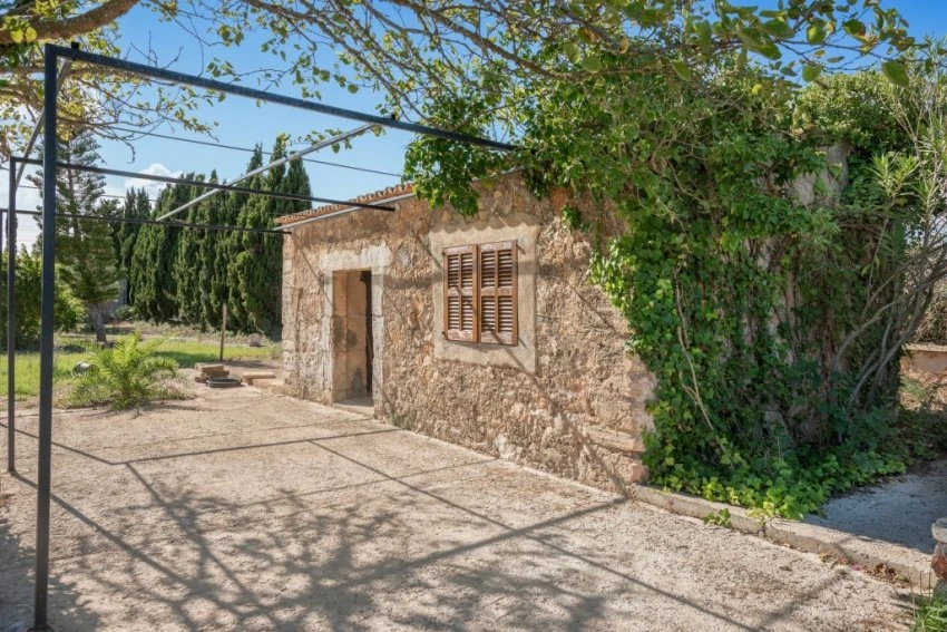 Venta Casas Rústicas Petra