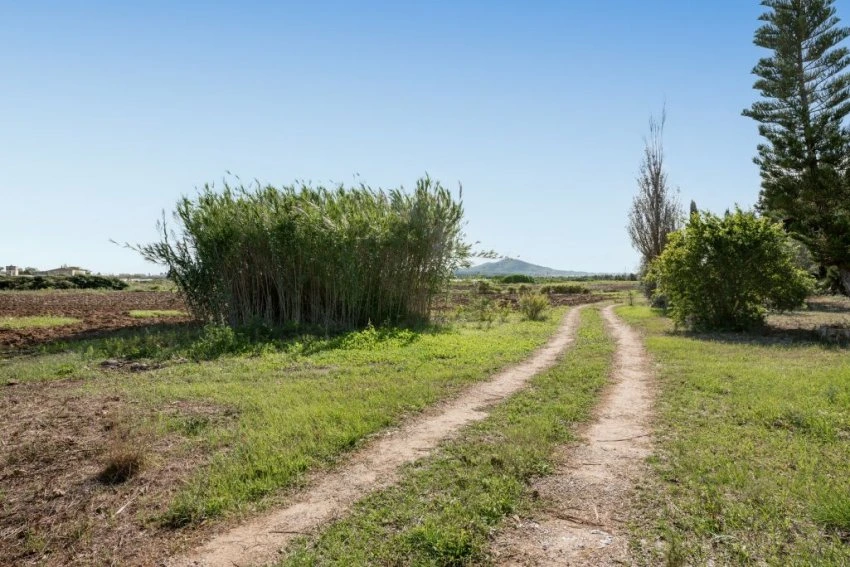 Venta Casas Rústicas Petra