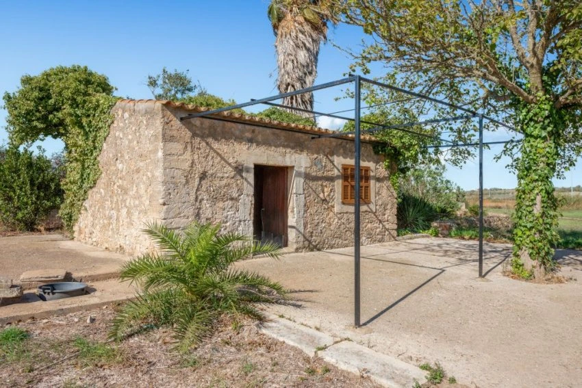 Venta Casas Rústicas Petra