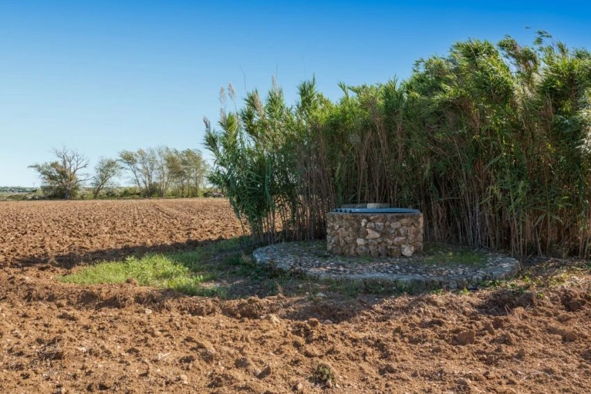 Venta Casas Rústicas Petra