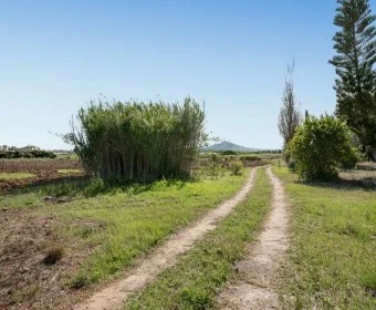 Sale Rustic houses Petra