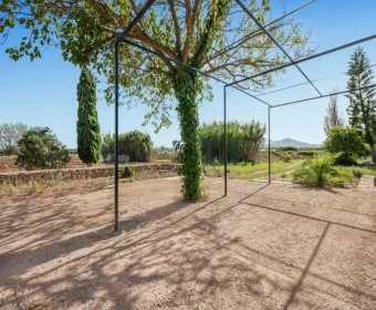 Venta Casas Rústicas Petra