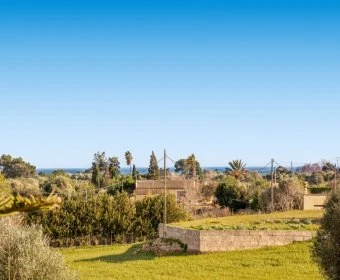 Sale Rustic houses Son Servera