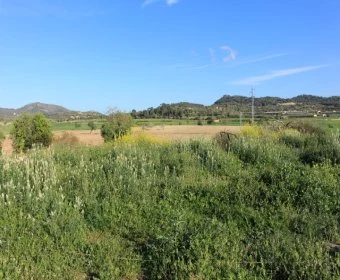 Sale Rustic houses Felanitx