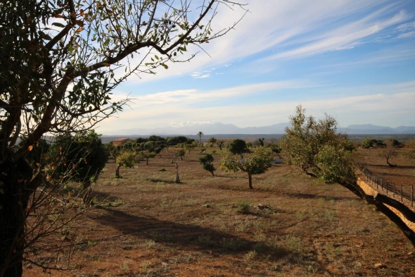 Maa myynnissä kohdassa Manacor Mallorca Espanja