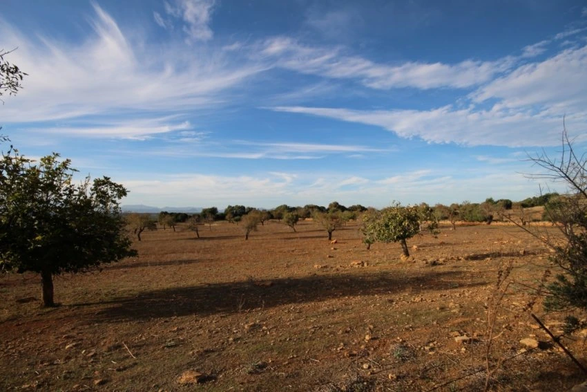 Maa myynnissä kohdassa Manacor Mallorca Espanja